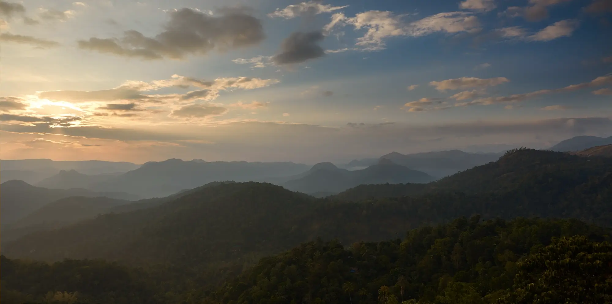Era Luxury Resort, Munnar