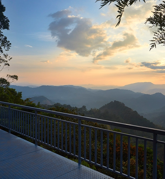Era Luxury Resort, Munnar